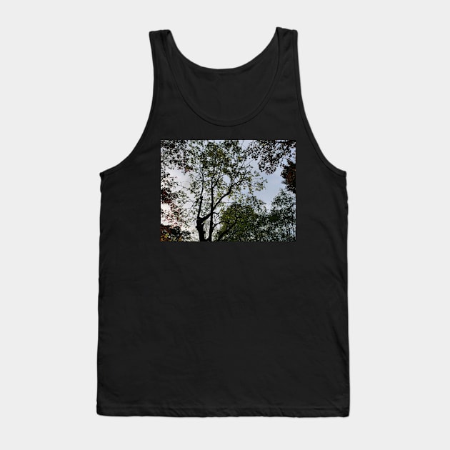 Colour of the tree on sunset Tank Top by fantastic-designs